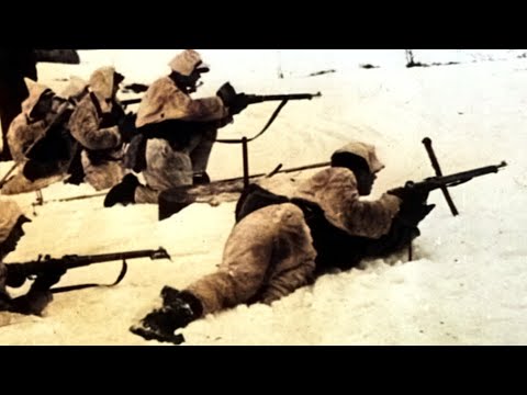 The Truth About The Greatest Sniper You've Never Heard Of