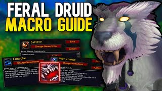 Rank 1 Feral Druid Macro Guide | WoW Arena