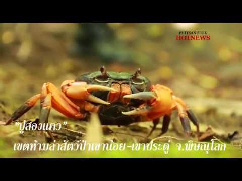 เขตห้ามล่าสัตว์ป่าเขาน้อย-เขาประดู่