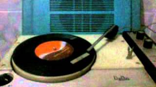 Super Furry Animals - Calimero