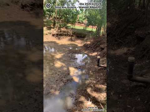 #Sítio #RioQuieto #Parte16 #dia 20/03/2026 #ManoelRibas #Paraná #Brasil #natureza #FazChover