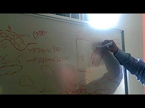 Clases Farmacología 14/10/17 Parte 1  CF1