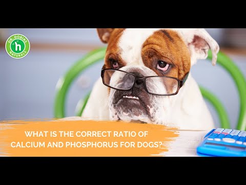 Does your dog get the right Calcium/Phosphorous ratio in their food? Dr. Peter Dobias Explains...