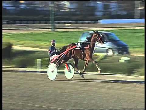 Trotto 05/02/2016 - 3° corsa