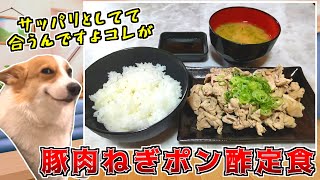 【猫ミーム】暑くなったのでポン酢でさっぱりと豚肉を頂きます！