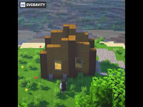 "Insane Time-lapse Builds Small Minecraft House" #shorts