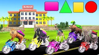 Animals On Bikes Go To School - Learn Shapes For Kids - Animals motorbike videos for children
