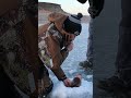 Video Thumbnail for 8lb Test Vs Massive Northern Pike