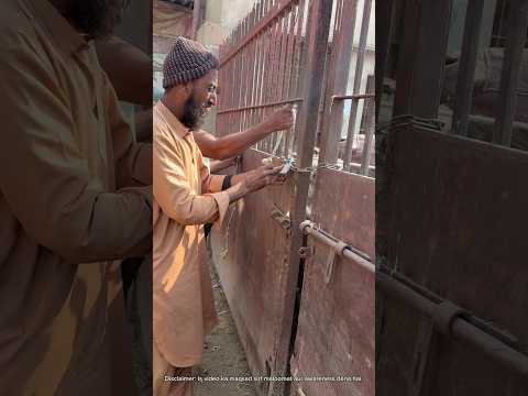 Dil Hil Jane Wali Tasveer 💔 | Inside Slaughterhouse Pakistan