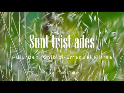 Sunt trist ades - Puiu si Beni Chibici/Emanuel Mitrea