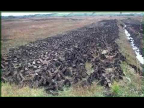 Seamus Moore - The Man Who Drank The Farm