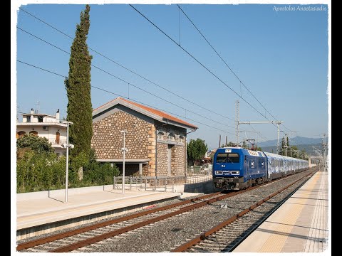 TRAINOSE 🇬🇷-ICE 51 entering Tithorea Railway Station