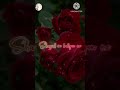 Aaja Teri Yaad Aai Ke Aaja Teri Yaad Aai O Balam Harjai Hitsong Rafisaab Rafi Saab Song Status