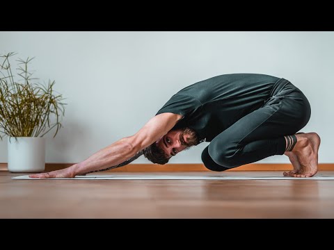 All Levels Animal Flow Based Yoga for BJJ Practice
