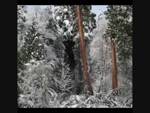 Fields Of Snow [2009] Joram Feitsma