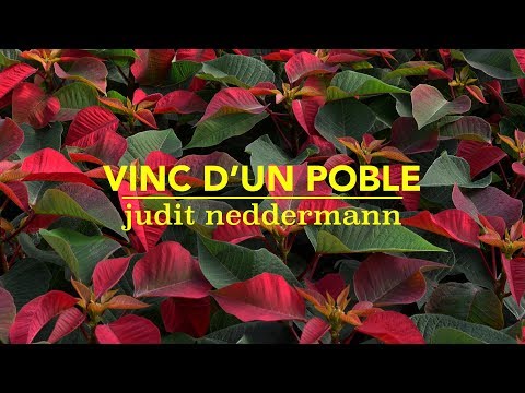 Judit Neddermann i Pau Figueres - Vinc d'un poble [en directe]