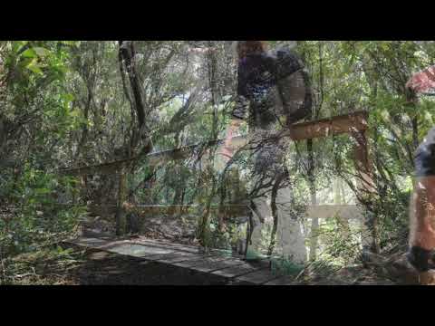 South Cape Bay Track