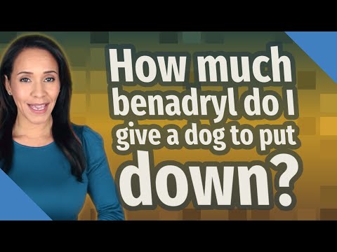 How much benadryl do I give a dog to put down?