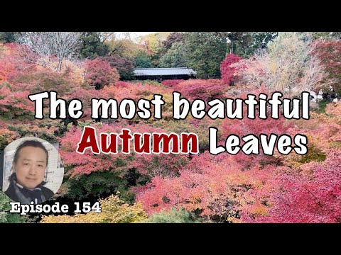 Autumn leaves of Tofukuji temple and avant-garde Zen garden [Deep Japan] 東福寺