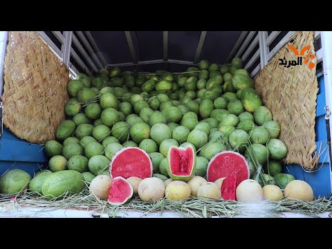 شاهد بالفيديو.. (الركَي) بأنواعه يتوسط سفرة البصريين #المربد