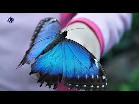 Met de fiets kriskras door Gemert deel vijf