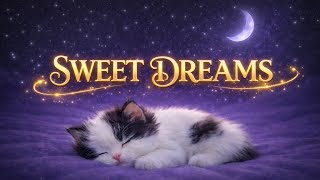 Cute Kitten Sleep Music 🐱💤 | Calm Night Sounds for Cats & Deep Relaxation
