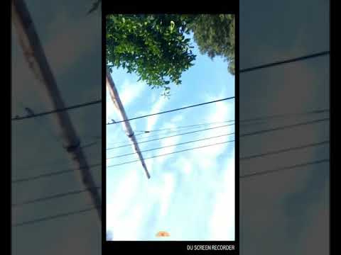 Momentos con buho freestyle