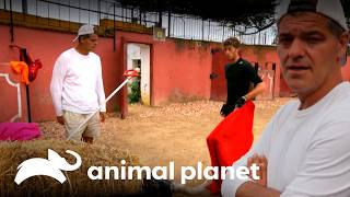 Thumbnail del capítulo