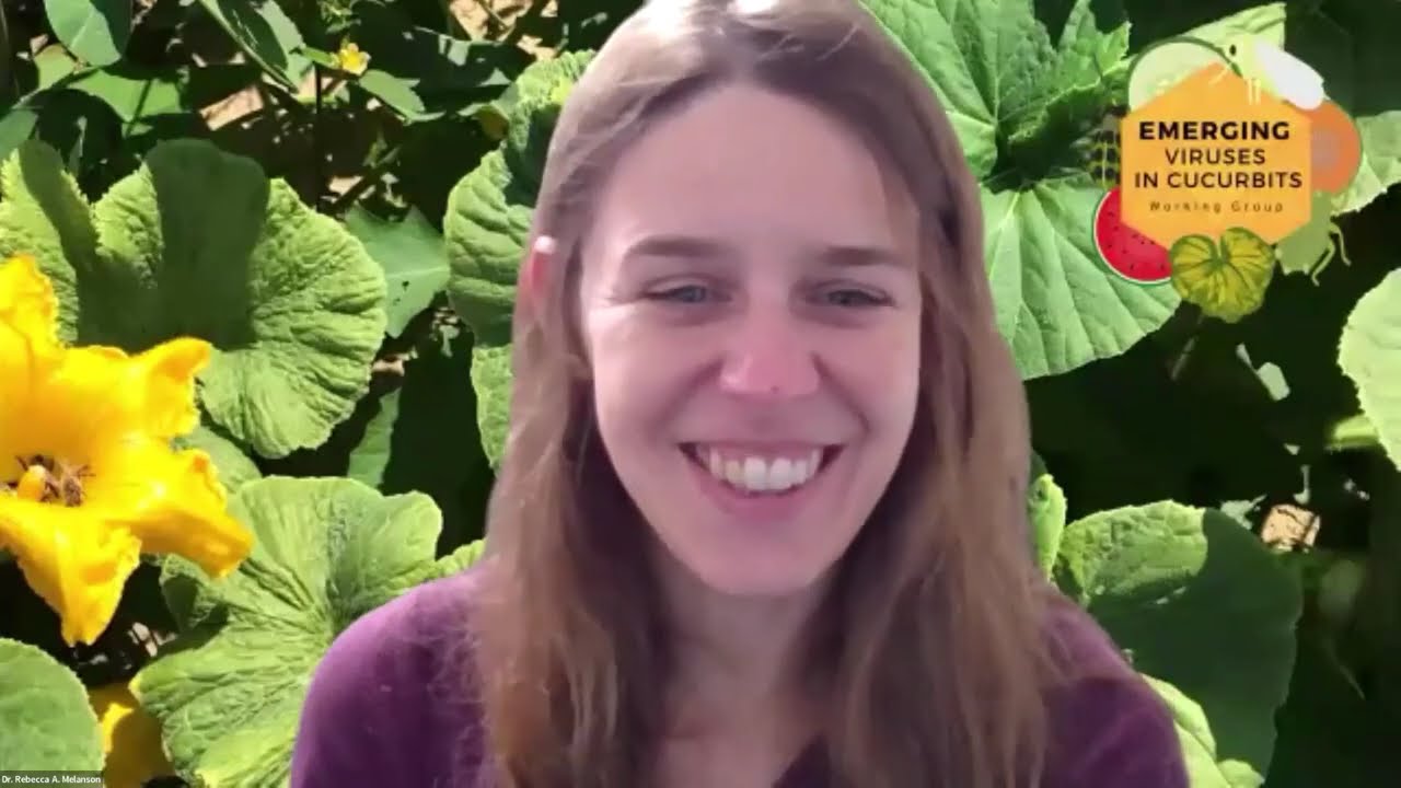Question and Answer Period Following Whitefly-Transmitted Viruses in Cucurbits Webinar, EVCWG (2026)