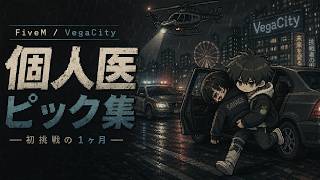 [FiveM] VegaCity 個人医ピック集