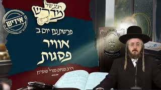הרב מנחם מנדל פומרנץ | רגע של מדרש -אידיש- יום ב' פרשת נח • אוויר פסגות •