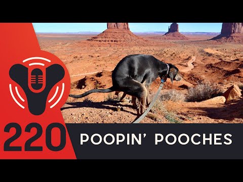 DCP Ep. 220 - Holiday Extravaganza (ft. Mr_Ar3s & PopeBear)