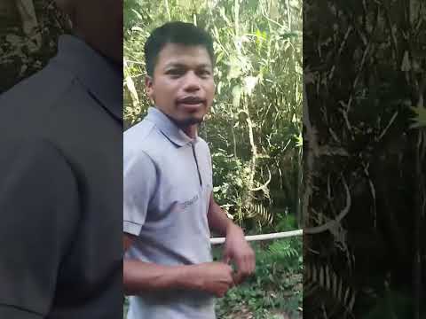 Kundaha tetãpyre - Turismo interno por "Mundo Guaraní" Yguasu - Alto Paraná. Py.