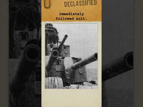 The Galloping Ghost of the Java Coast, USS Houston’s Last Stand | #history #shorts #navy #foryou