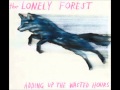 The Lonely Forest - Stars Like Dust 