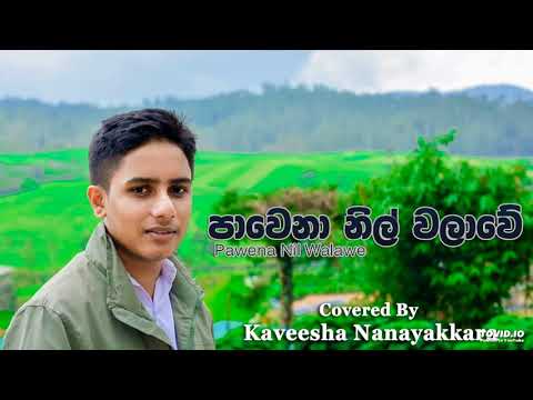 Pawena Nil Walawe (පාවෙනා නිල් වලාවේ ) Cover By Kaveesha Nanayakkara