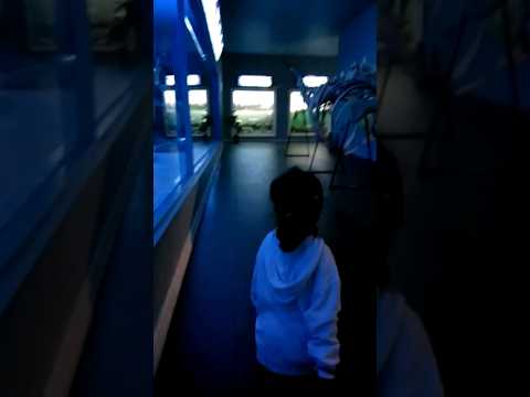 Anindya Pegang Taring Hewan Purba