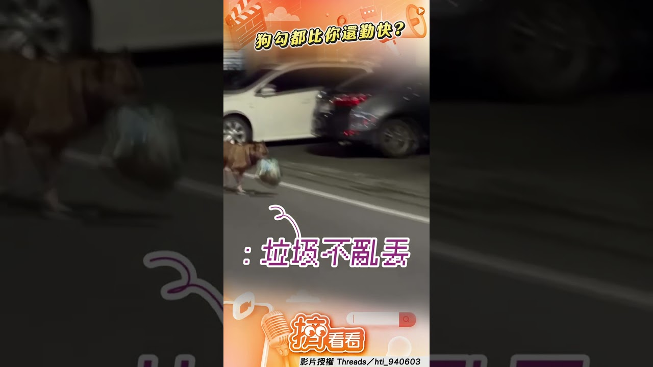 影音／宜蘭驚見狗狗「幫倒垃圾」？　偷瞄鏡頭「嚇到掉寶」結局惹笑