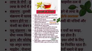 Download lagu 💁‍♀️🌿tulsi ki chai pine ke fayde👌 benefits of tulsi basil #shorts #healthy #health #tulsibenefits mp3