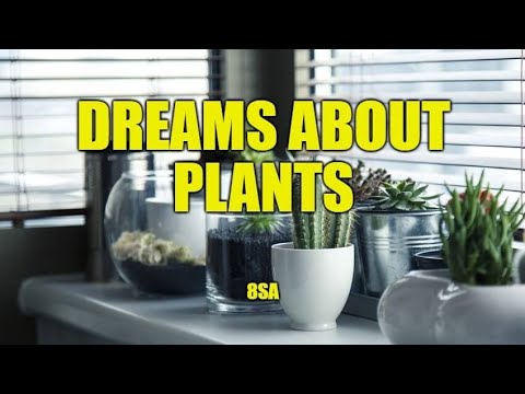 What Does Plant Mean in a Dream? Meaning of Dreams about Plants