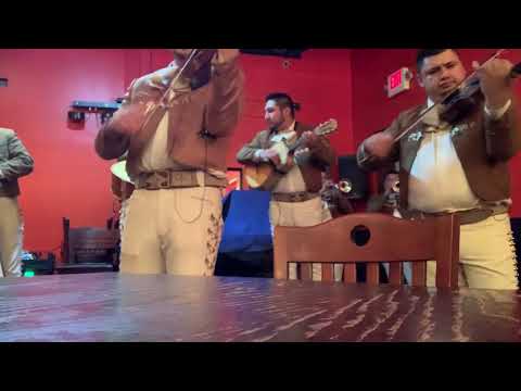 Promotional video thumbnail 10 for Mariachi Arraigo de America