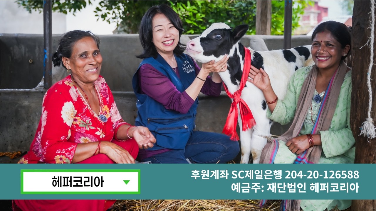 가축 한 마리로 시작된 경제적 자립!