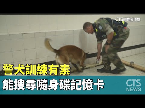 警犬訓練有素　能搜尋隨身碟記憶卡