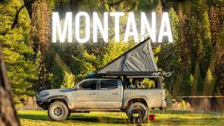 Solo Spring Truck Camping in MONTANA with my Dog