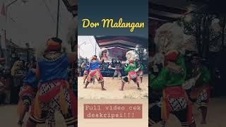 Download lagu Jaranan Dor Malangan #kidalan #kepangdor #ndadi #jarananmalangraya #jarankepang #jarandor mp3