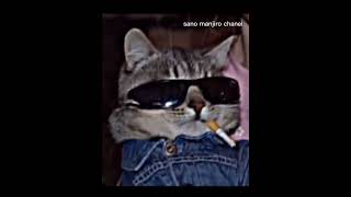 Download lagu JEDAG JEDUG KUCING||DJ RAJA MEXICO mp3