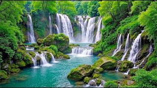 Relax Mind, Body and Soul 🌿 Healing Music & Water Sounds for Inner Peace