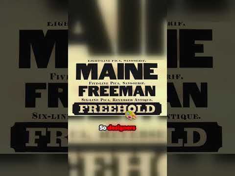 Discover the Bold Evolution of Typography!