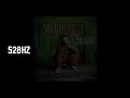 The Alchemist - Boost the Crime Rate (feat. Sheek & J-Hood) 528hz