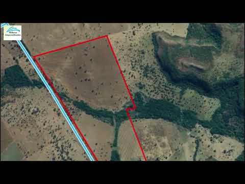 OPORTUNIDADE: Fazenda de 30,5 Alqueires Próxima à Cachoeira Alta-GO